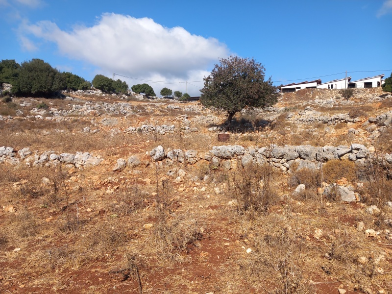 קובץ:2025-08-19T09 03 01.058329494952.jpg