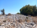 תמונה ממוזערת לגרסה מתאריך 10:49, 19 באוגוסט 2025
