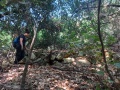 תמונה ממוזערת לגרסה מתאריך 07:43, 20 באוגוסט 2025