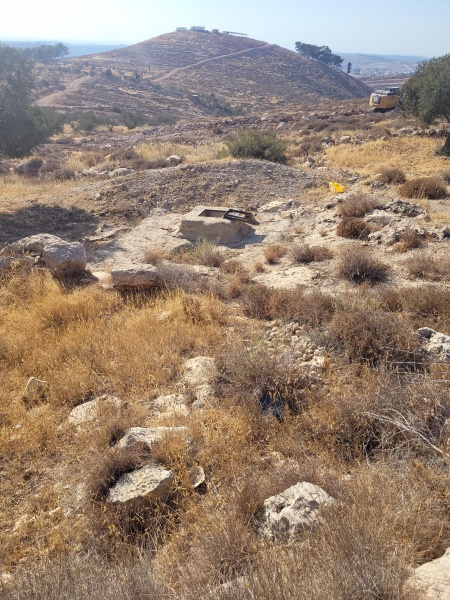 קובץ:2025-08-20T17 05 32.134477831812.jpg