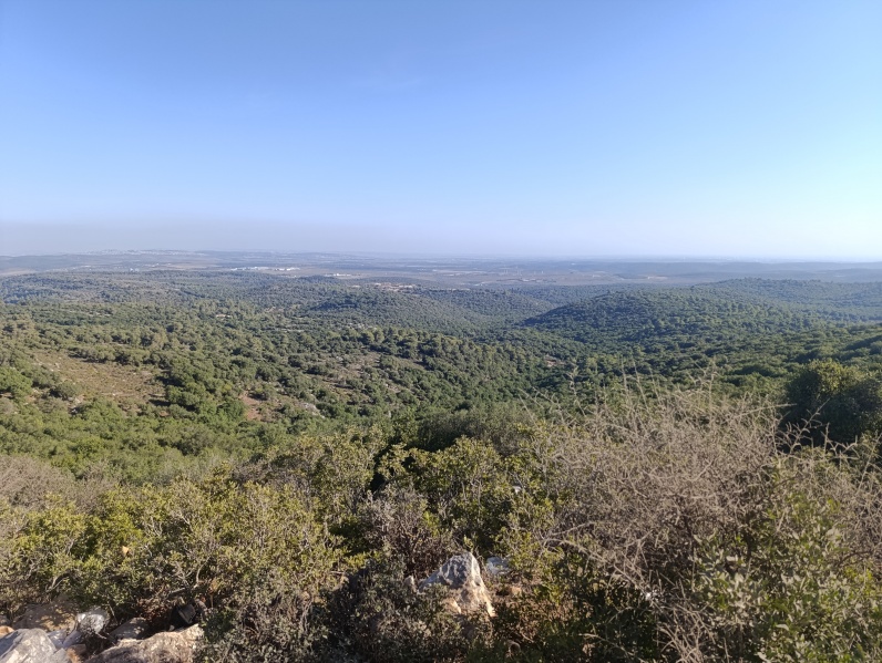 קובץ:2025-08-20T17 15 50.208035644351.jpg