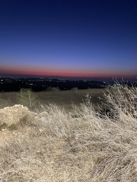 קובץ:2025-08-20T19 55 39.126521804187.jpg