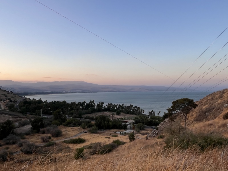 קובץ:2025-08-20T23 52 50.154730799371.jpg