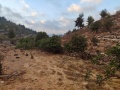 תמונה ממוזערת לגרסה מתאריך 13:01, 21 באוגוסט 2025