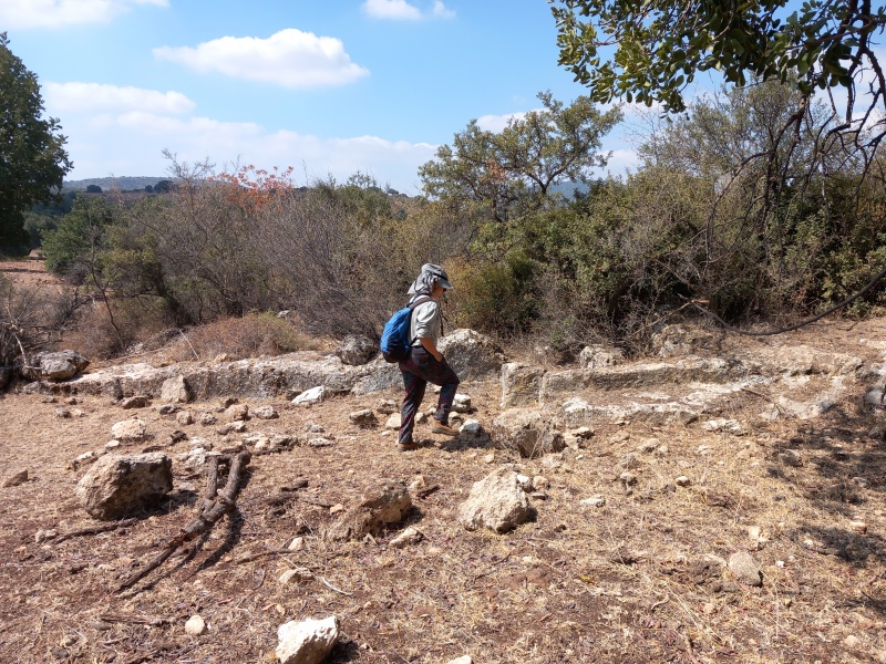 קובץ:2025-08-21T10 56 43.145918643062.jpg