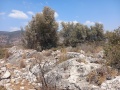 תמונה ממוזערת לגרסה מתאריך 10:54, 21 באוגוסט 2025