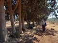 תמונה ממוזערת לגרסה מתאריך 10:55, 21 באוגוסט 2025