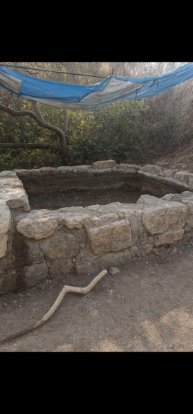 קובץ:2025-08-21T17 03 31.232153339116.jpg