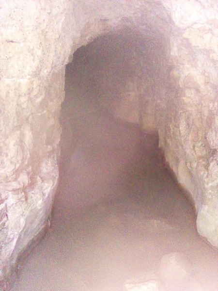 קובץ:2025-08-22T08 29 17.643305175362.jpg