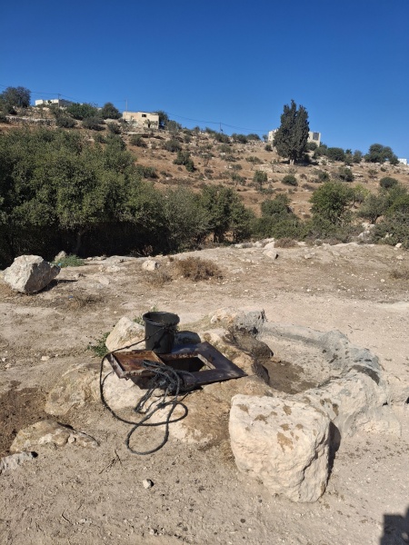 קובץ:2025-08-22T09 13 15.516199416615.jpg