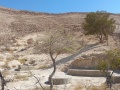 תמונה ממוזערת לגרסה מתאריך 15:00, 22 באוגוסט 2025