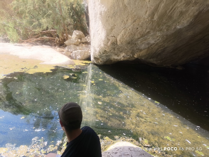 קובץ:2025-08-22T10 13 00.718465454890.jpg