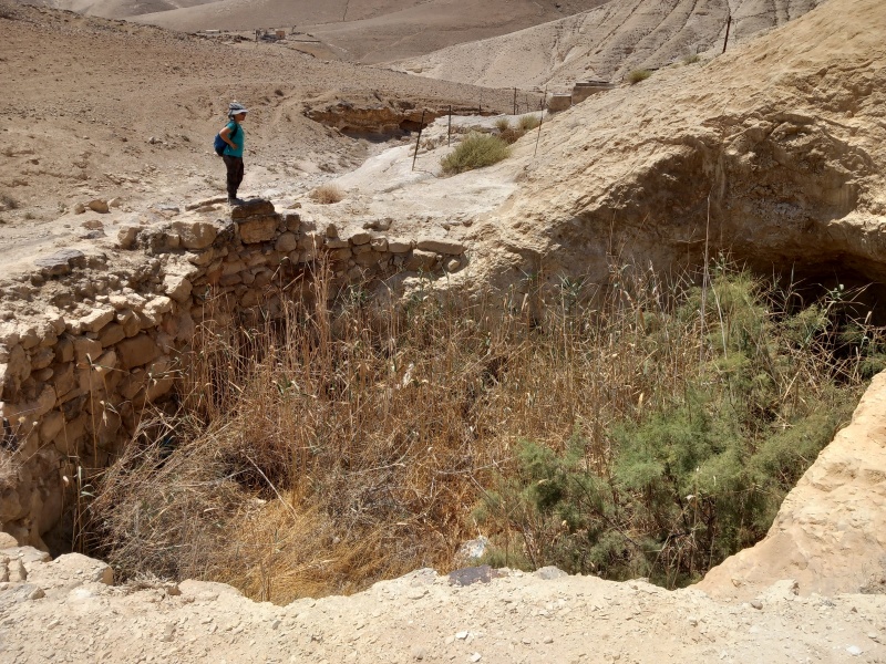 קובץ:2025-08-22T12 10 42.334107795556.jpg