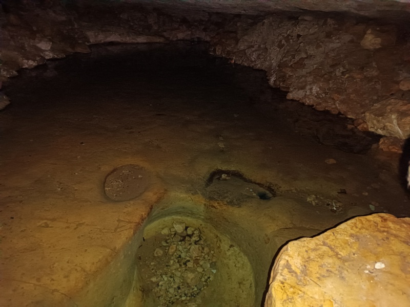 קובץ:2025-08-22T15 47 52.335346959579.jpg