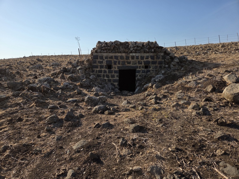 קובץ:2025-08-22T17 35 46.46356139356.jpg
