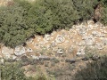 תמונה ממוזערת לגרסה מתאריך 05:54, 23 באוגוסט 2025