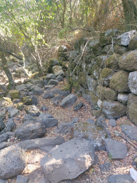 קובץ:2025-08-23T09 50 29.845467577853.jpg