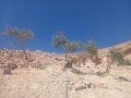 תמונה ממוזערת לגרסה מתאריך 08:15, 23 באוגוסט 2025
