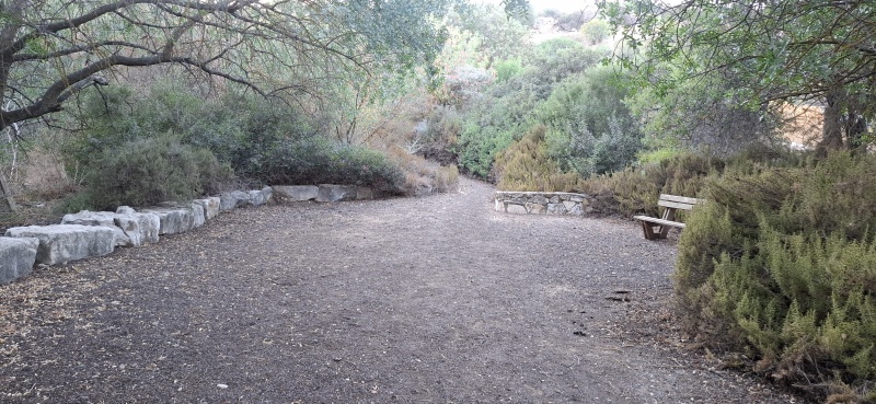 קובץ:2025-08-23T18 41 56.196162757476.jpg