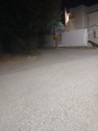 תמונה ממוזערת לגרסה מתאריך 17:21, 23 באוגוסט 2025