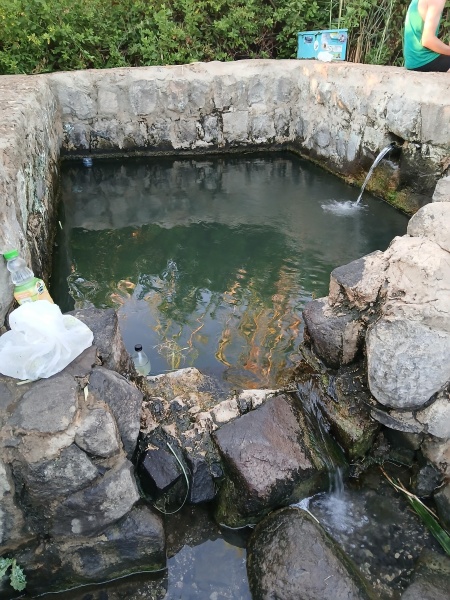 קובץ:2025-08-23T20 51 47.28132840148.jpg
