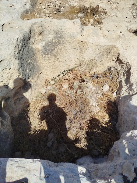 קובץ:2025-08-24T10 33 15.022406707609.jpg