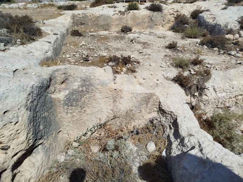 קובץ:2025-08-24T10 34 35.731702430619.jpg