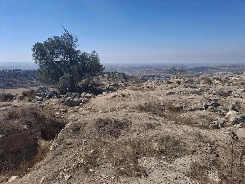 קובץ:2025-08-24T21 11 44.665712456398.jpg
