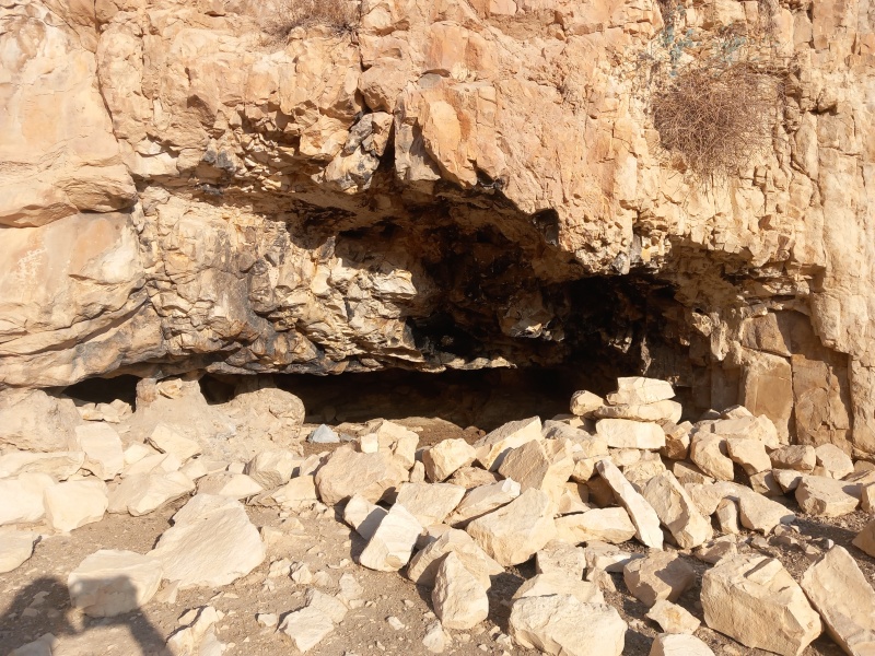 קובץ:2025-08-25T07 30 06.691377903802.jpg