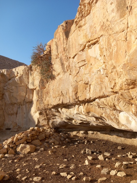 קובץ:2025-08-25T07 30 21.103773107578.jpg