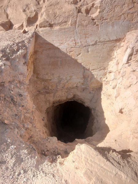 קובץ:2025-08-25T08 37 19.082532614307.jpg