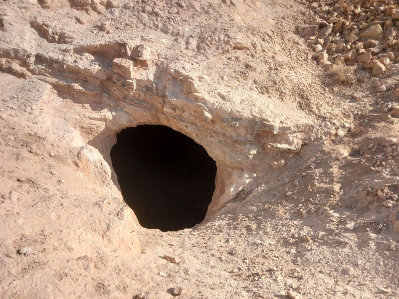 קובץ:2025-08-25T08 42 37.216386253135.jpg