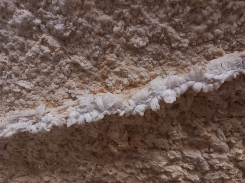 קובץ:2025-08-25T08 43 07.354811557936.jpg