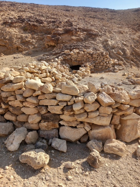 קובץ:2025-08-25T09 06 11.106540670537.jpg