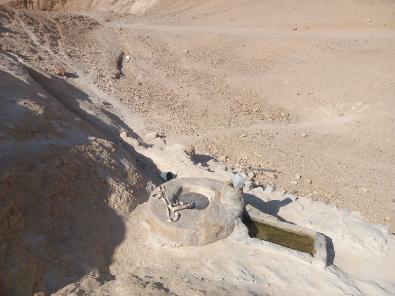 קובץ:2025-08-25T09 20 01.607446550541.jpg