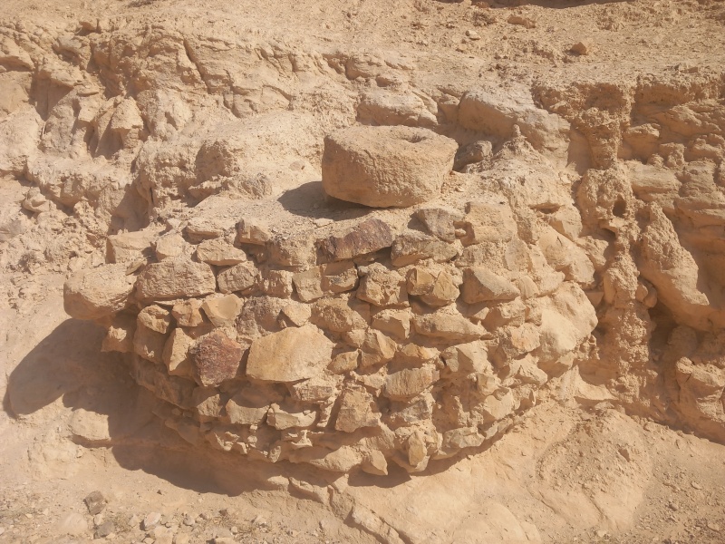 קובץ:2025-08-25T09 48 57.778082130475.jpg