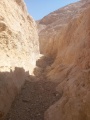 תמונה ממוזערת לגרסה מתאריך 03:22, 26 באוגוסט 2025