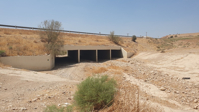 קובץ:2025-08-25T13 04 34.317273233037.jpg