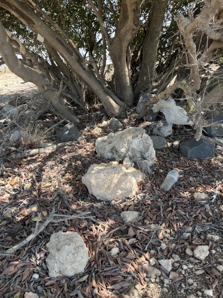 קובץ:2025-08-25T13 43 57.071009724197.jpg