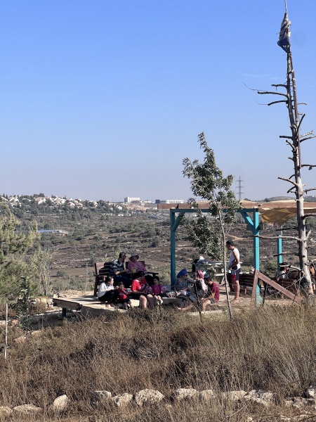 קובץ:2025-08-25T17 01 02.754579596913.jpg