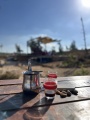 תמונה ממוזערת לגרסה מתאריך 13:34, 25 באוגוסט 2025
