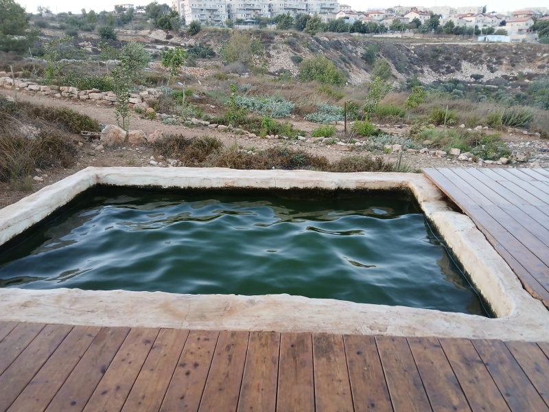 קובץ:2025-08-25T19 08 02.770165430472.jpg