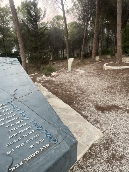 קובץ:2025-08-25T19 20 29.383921601496.jpg