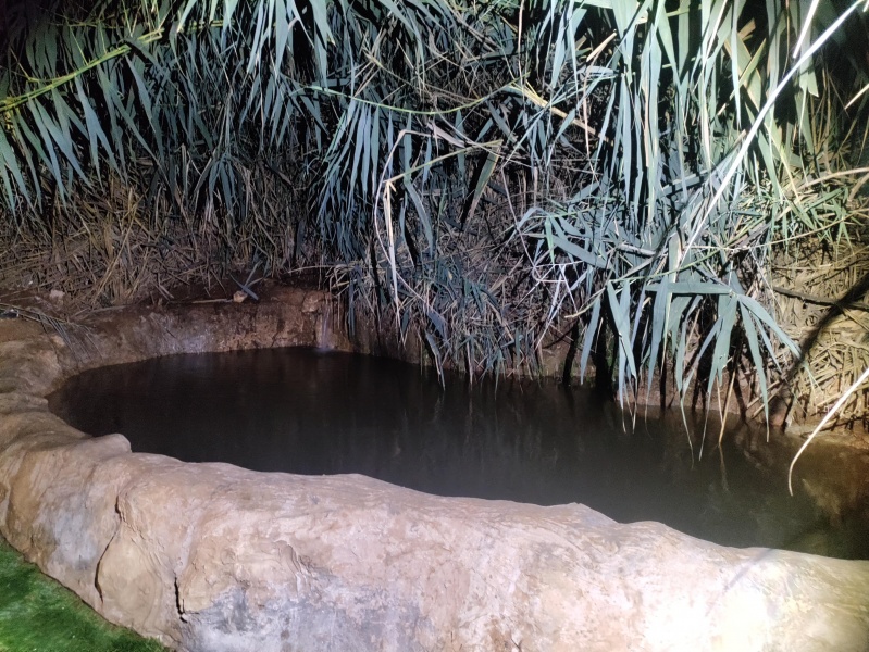 קובץ:2025-08-25T23 11 41.283709807327.jpg