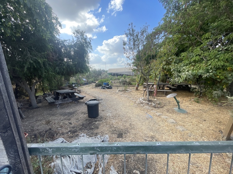 קובץ:2025-08-26T09 31 39.614110510312.jpg