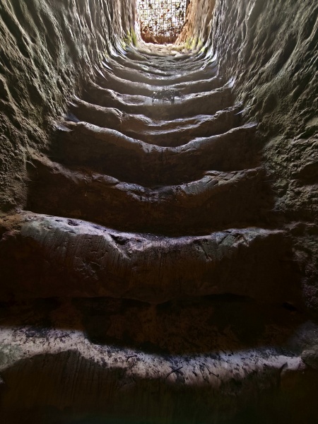 קובץ:2025-08-27T15 02 47.224913910642.jpg