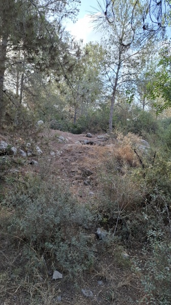 קובץ:2025-08-28T07 52 14.832749259977.jpg