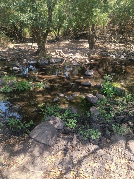 קובץ:2025-08-28T12 28 37.296616988448.jpg