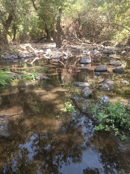 קובץ:2025-08-28T12 28 59.522609274000.jpg