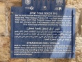 תמונה ממוזערת לגרסה מתאריך 10:02, 28 באוגוסט 2025